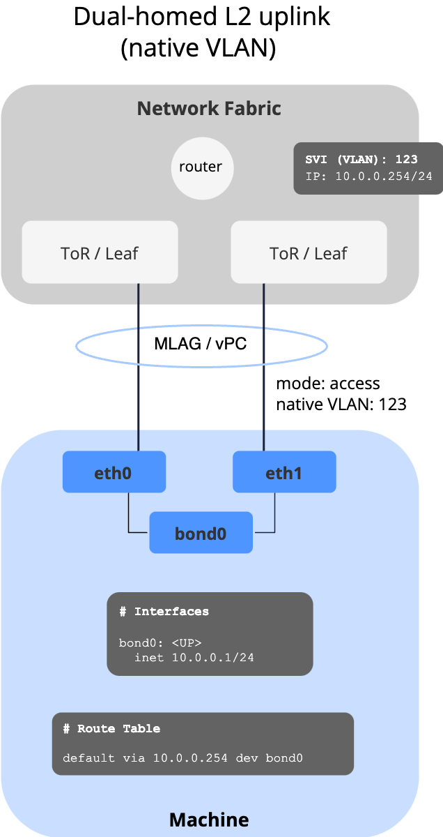 Dual-Homed L2 Uplink with Native VLAN