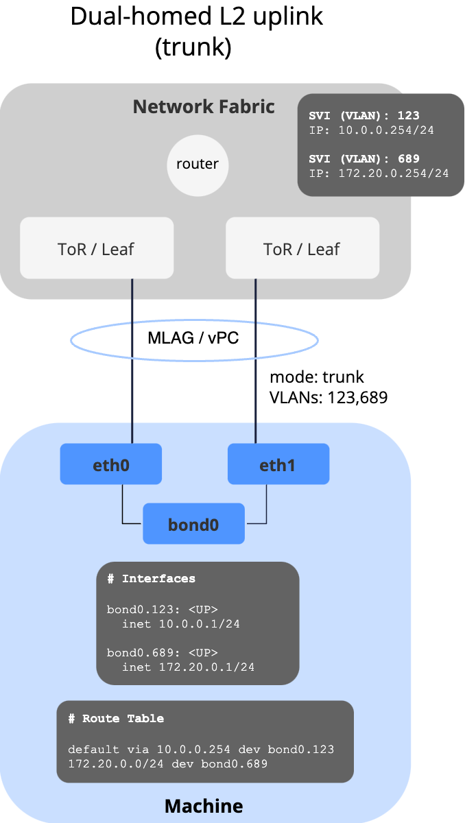 Dual-Homed L2 Uplink with Multiple VLANs