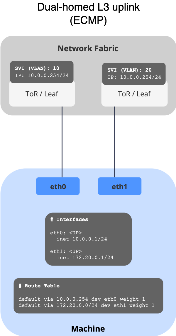 Dual-Homed L3 Uplink with ECMP