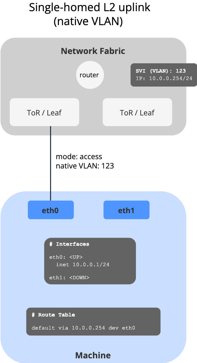 Single-Homed L2 Uplink with Native VLAN